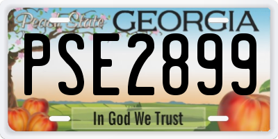 GA license plate PSE2899