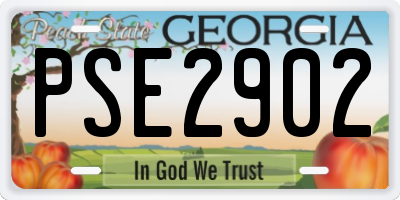 GA license plate PSE2902