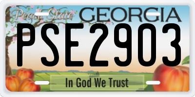 GA license plate PSE2903