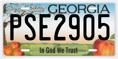 GA license plate PSE2905