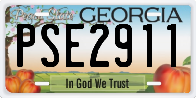 GA license plate PSE2911