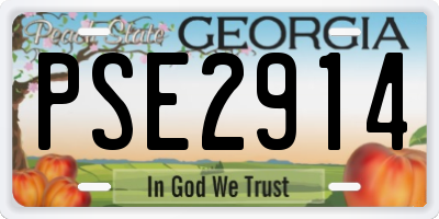 GA license plate PSE2914