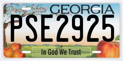 GA license plate PSE2925