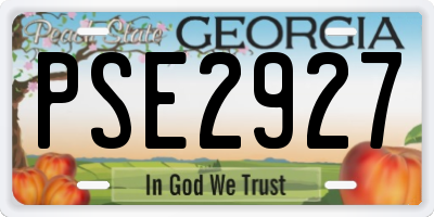GA license plate PSE2927