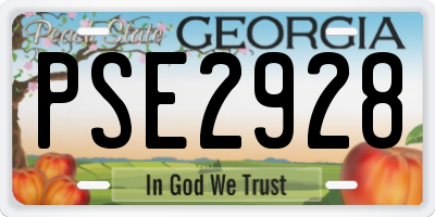 GA license plate PSE2928