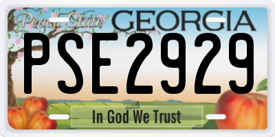 GA license plate PSE2929