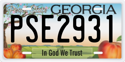GA license plate PSE2931