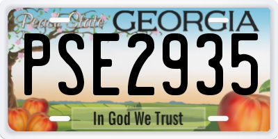 GA license plate PSE2935