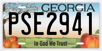GA license plate PSE2941