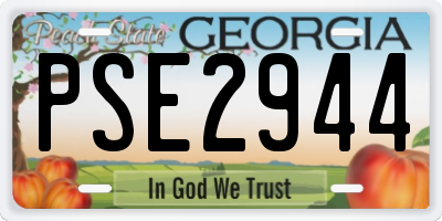 GA license plate PSE2944