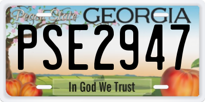 GA license plate PSE2947