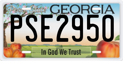 GA license plate PSE2950