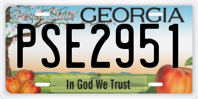 GA license plate PSE2951