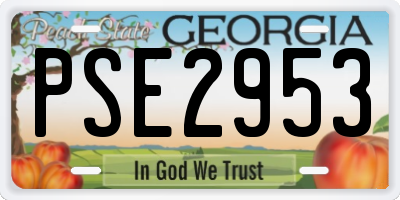 GA license plate PSE2953