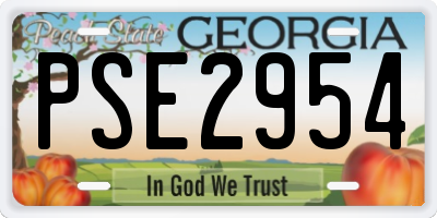 GA license plate PSE2954