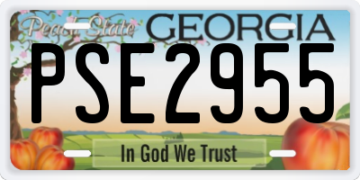 GA license plate PSE2955