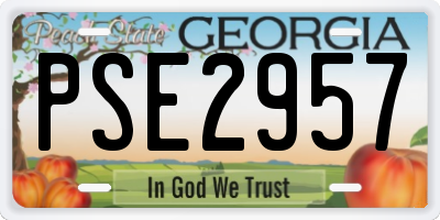GA license plate PSE2957