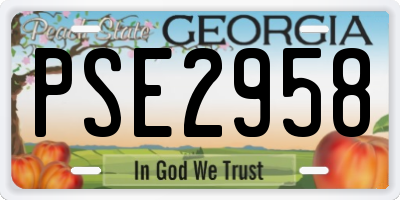 GA license plate PSE2958