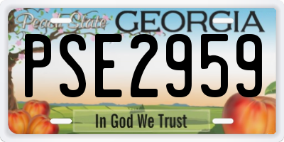 GA license plate PSE2959