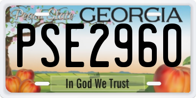 GA license plate PSE2960