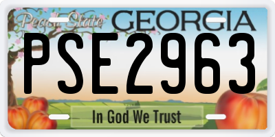 GA license plate PSE2963