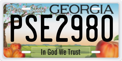 GA license plate PSE2980