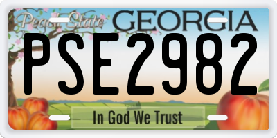 GA license plate PSE2982