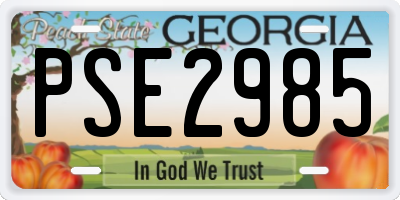 GA license plate PSE2985