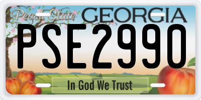 GA license plate PSE2990