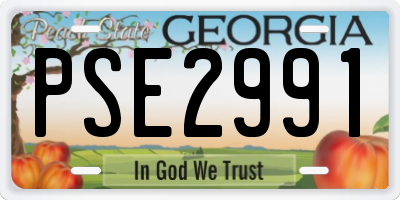 GA license plate PSE2991