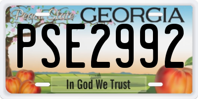 GA license plate PSE2992