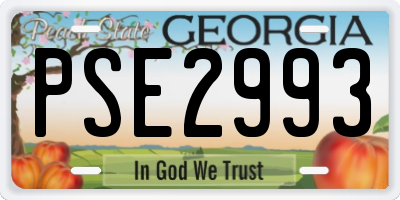 GA license plate PSE2993