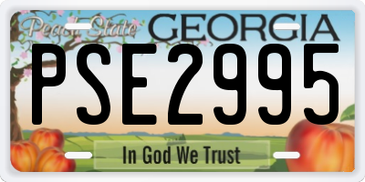 GA license plate PSE2995