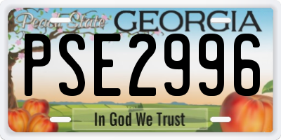 GA license plate PSE2996