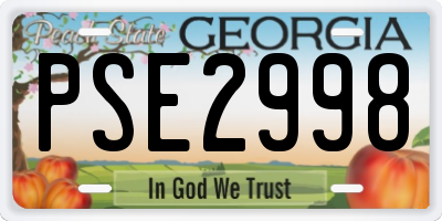 GA license plate PSE2998