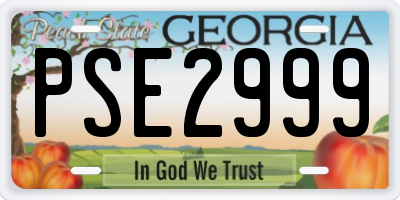 GA license plate PSE2999