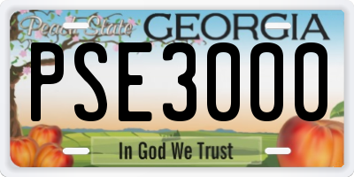 GA license plate PSE3000