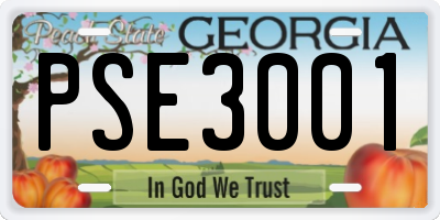 GA license plate PSE3001