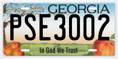 GA license plate PSE3002