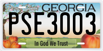 GA license plate PSE3003