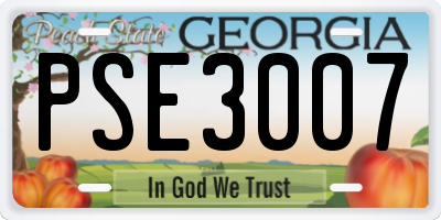 GA license plate PSE3007