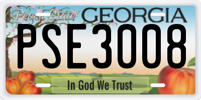 GA license plate PSE3008