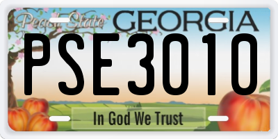 GA license plate PSE3010