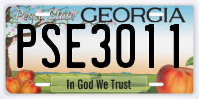 GA license plate PSE3011