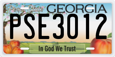 GA license plate PSE3012