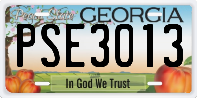 GA license plate PSE3013