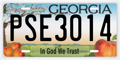 GA license plate PSE3014