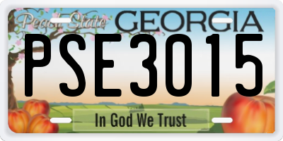 GA license plate PSE3015