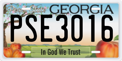 GA license plate PSE3016
