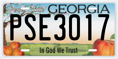 GA license plate PSE3017